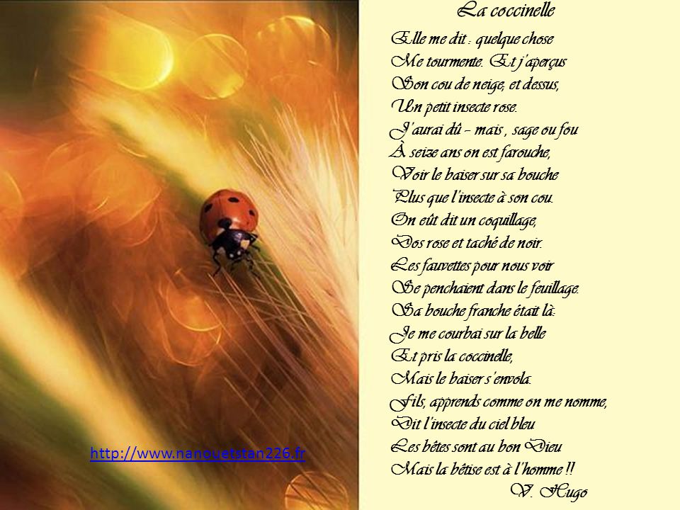 La coccinelle Victor Hugo Par Nanou et Stan. ppt t l charger